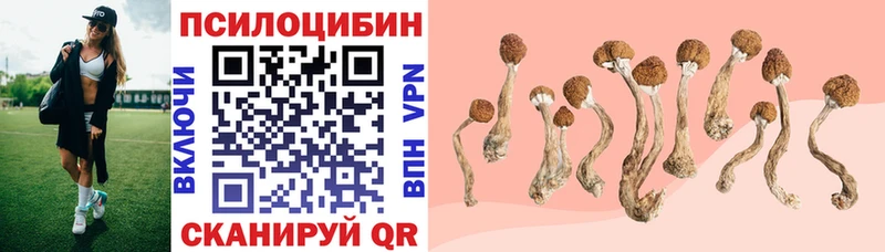 Купить  Верхний Тагил  Галлюциногенные грибы мухоморы 
